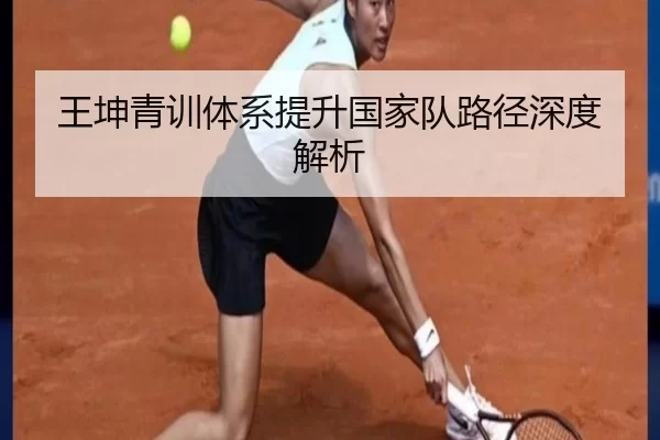 王坤青训体系提升国家队路径深度解析